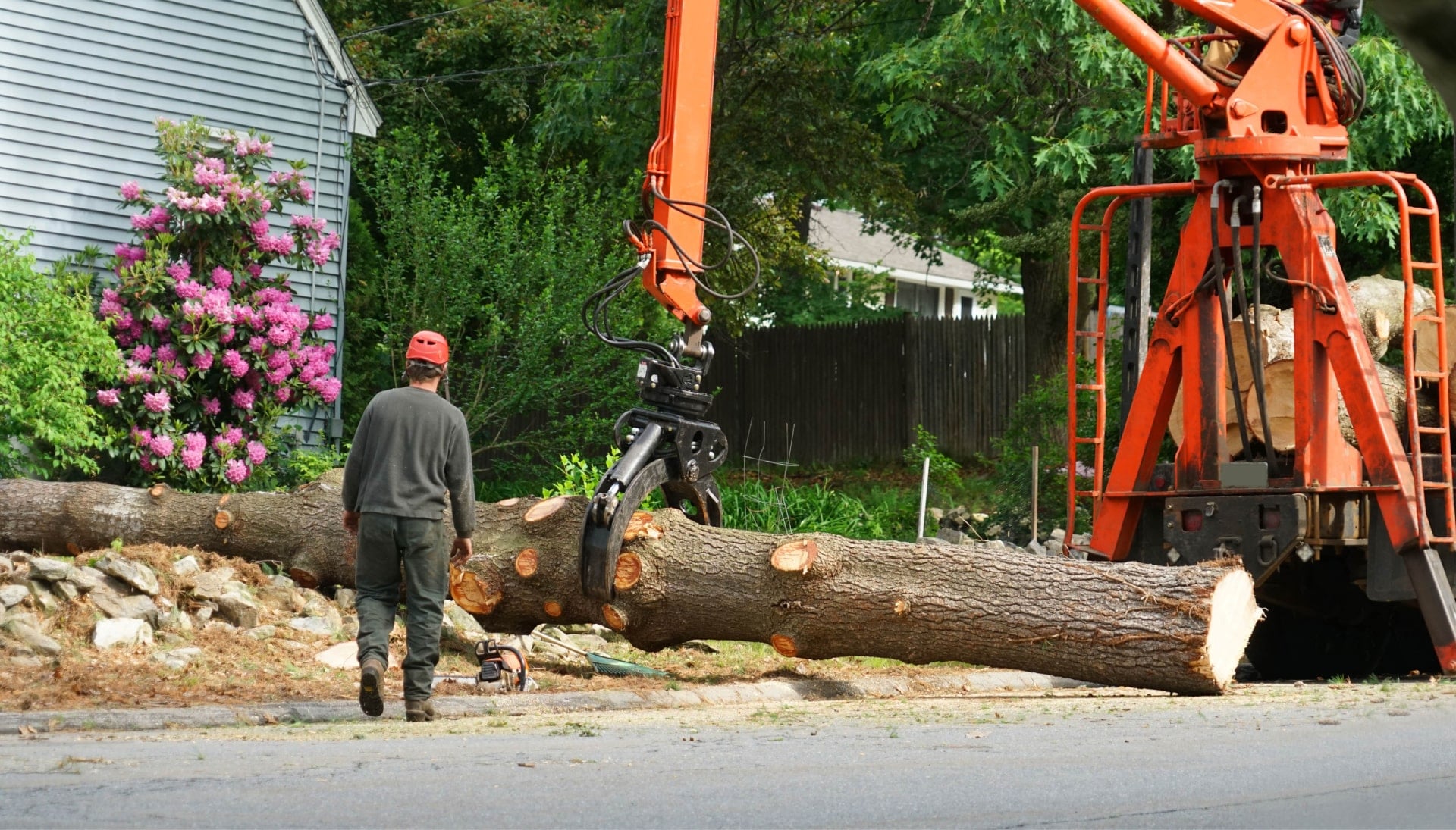 Local partner for Tree removal services in Joplin