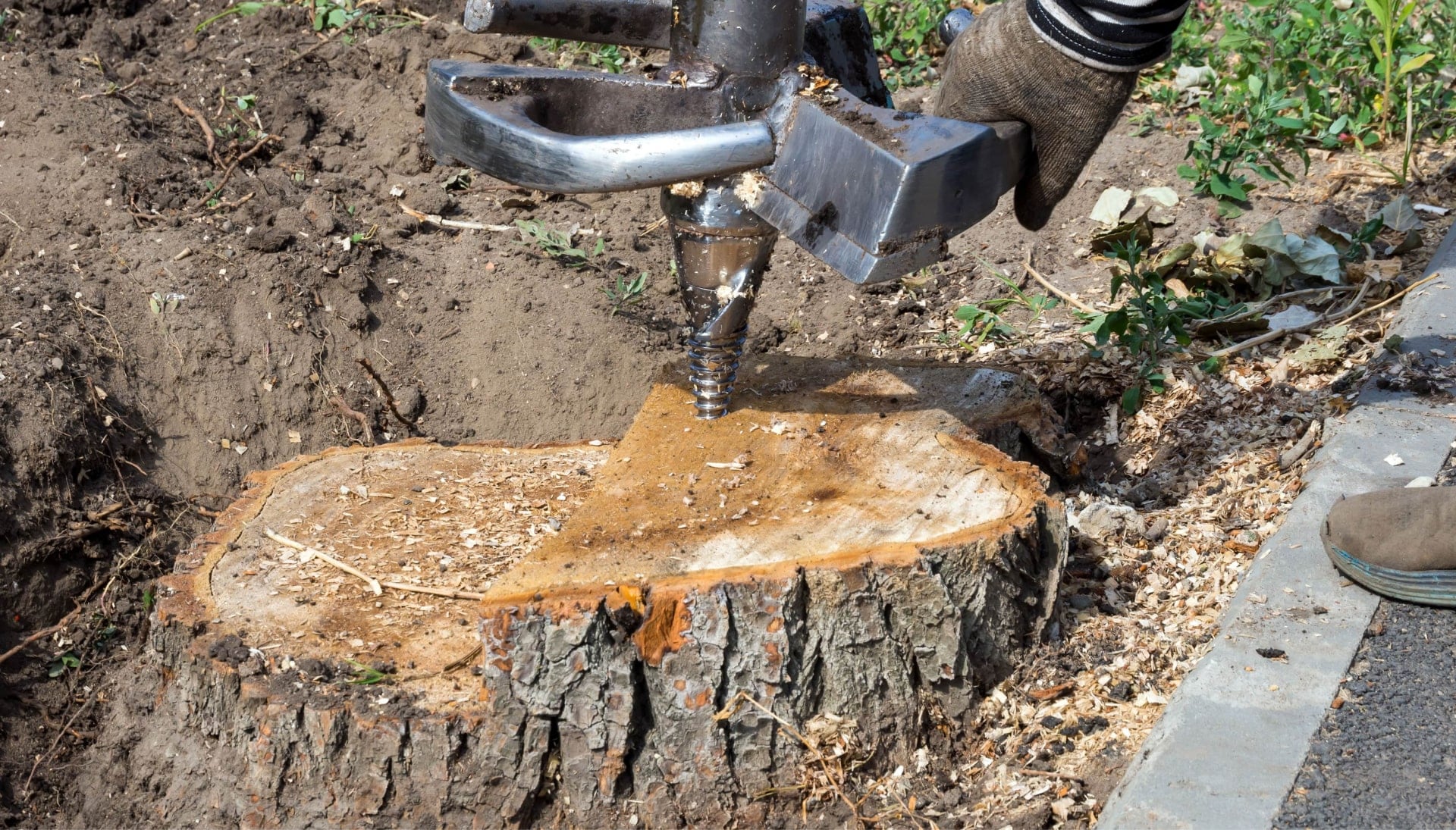 Joplin Tree stump removal